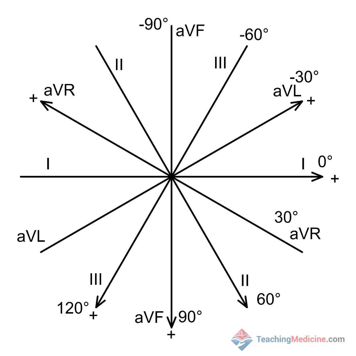 ECG axis leads