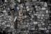 Le Passe-Muraille