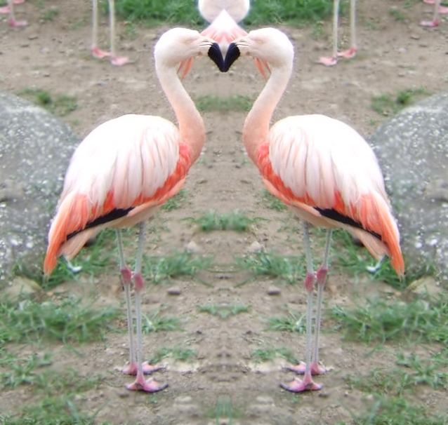 Heartfelt Images 2007