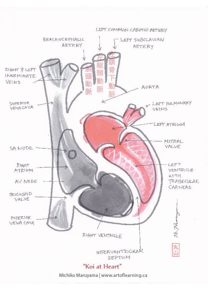 White Coat Warm heART 2015