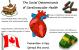 The Social Determinants of Cardiovascular Health