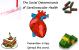 The Social Determinants of Cardiovascular Health