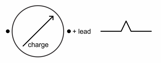 Angled depolarization results in a lower amplitude deflection.