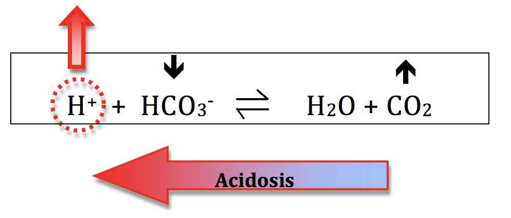 shifting chemistry