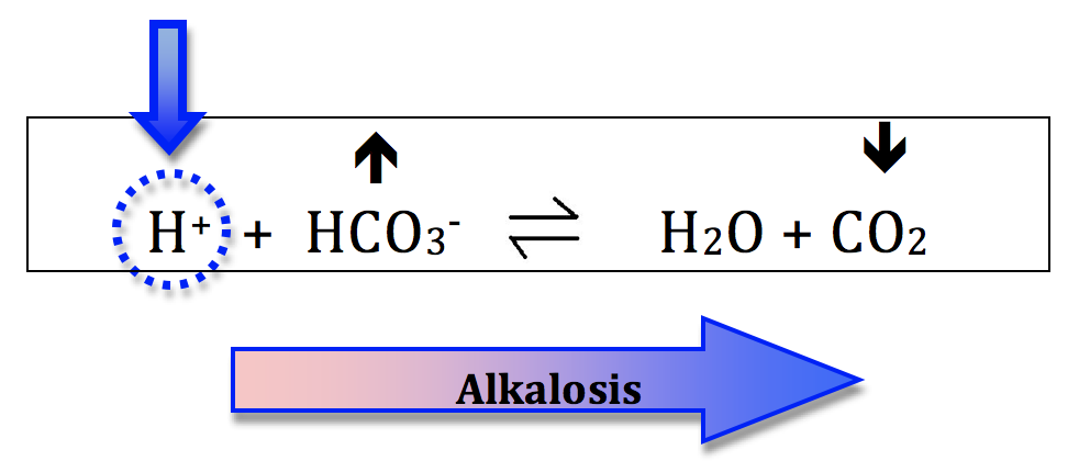 shifting chemistry