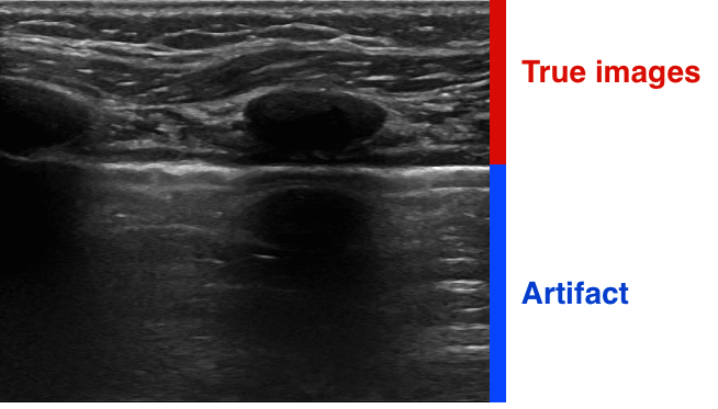 true versus false images