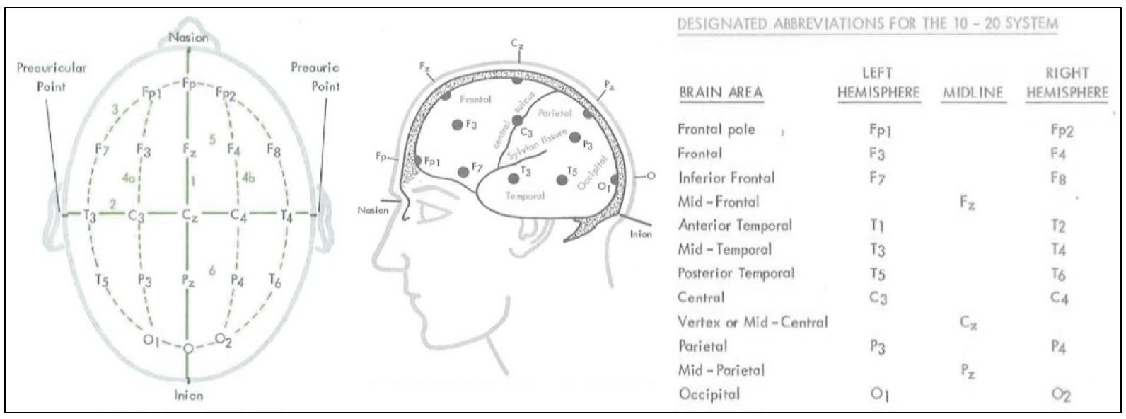 Eeg Placement Chart