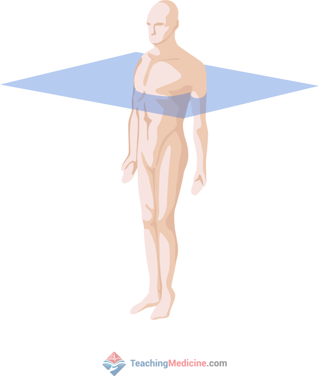 understanding LBBB